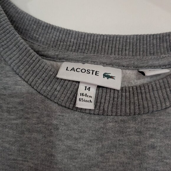 Lacoste Logo Crew Sweatshirt Heather Grey Size 14 - Picture 3 of 6